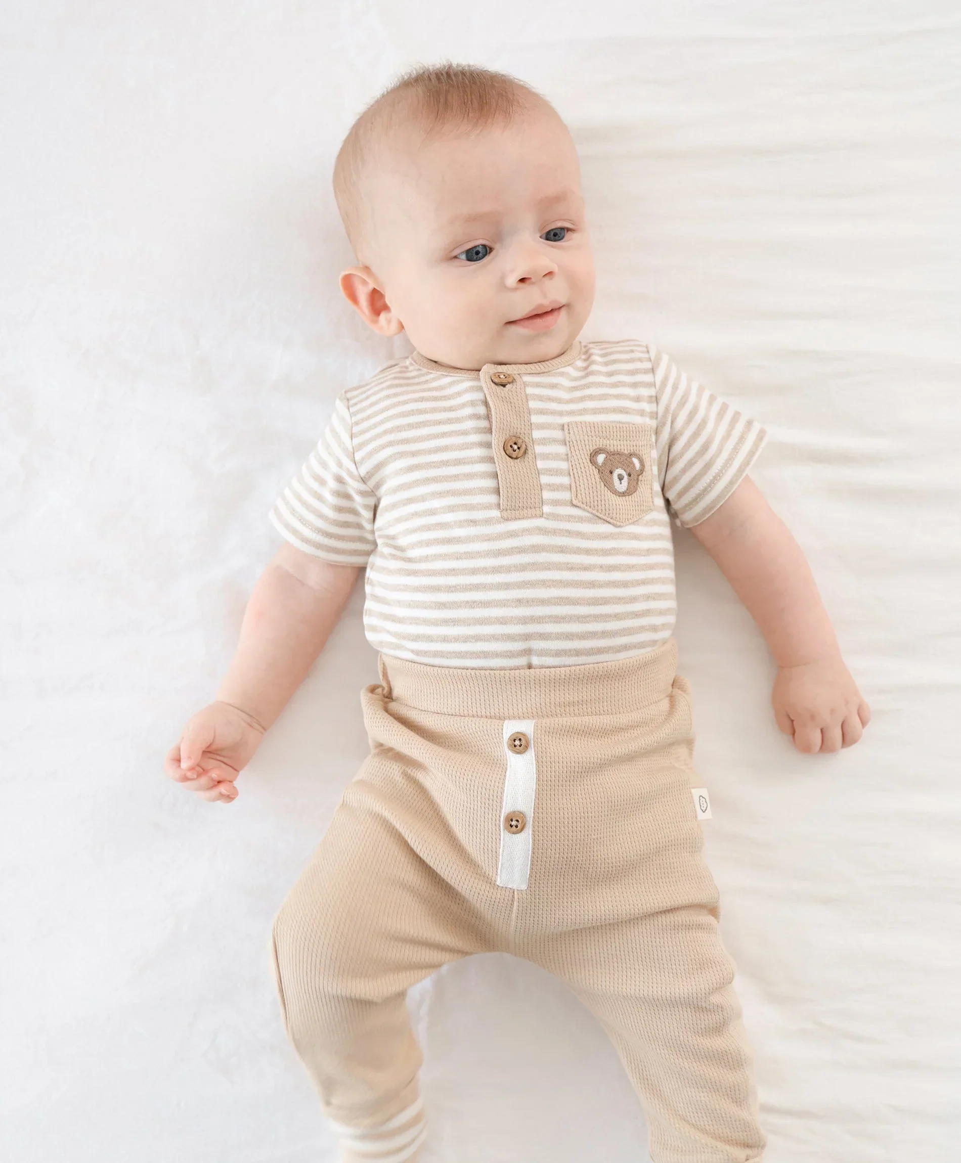 Organic Cotton Short Sleeve Bodysuit - Bear & Oat Stripes - Image 6