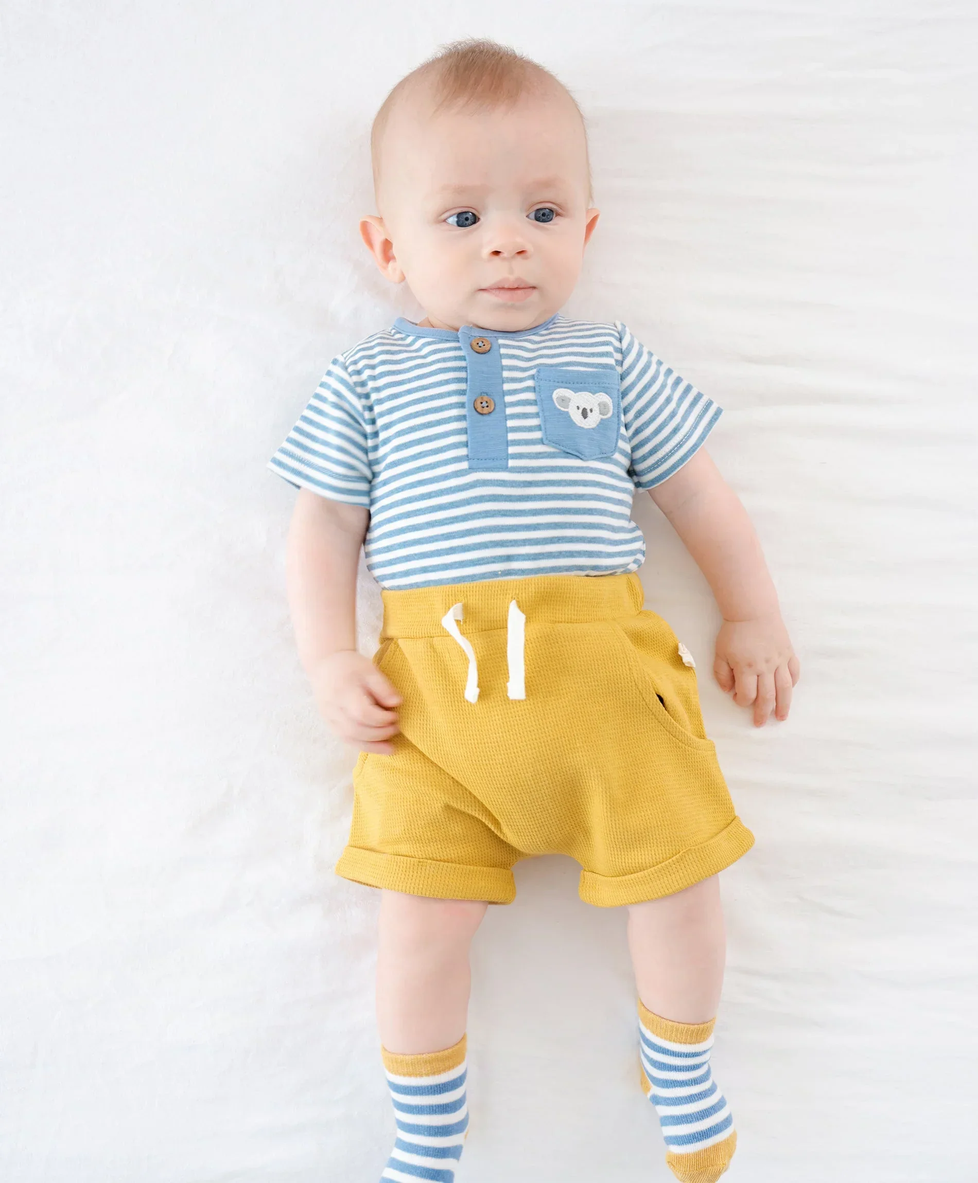 Organic Cotton Short Sleeve Bodysuit - Koala & Blue Stripes - Image 4